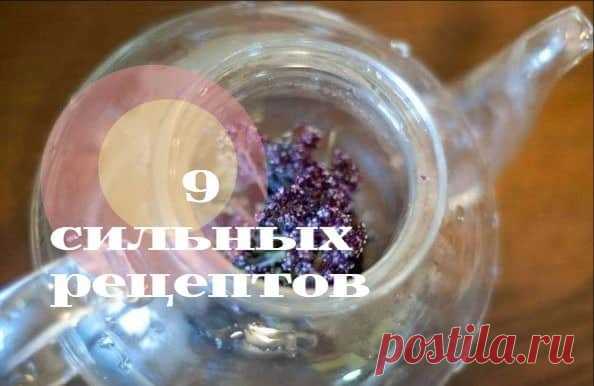Эта трава лечит язву, депрессию, зубную боль. 9 лучших рецептов с душицей - CELEBNIK. RU