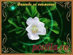 Открытки анимация СПАСИБО, БЛАГОДАРЮ | Открытки анимация