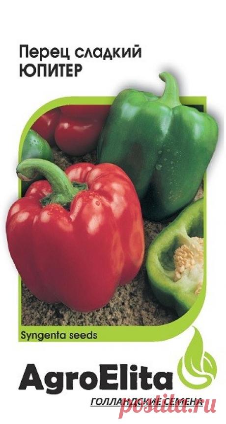 Перец &quot;Юпитер&quot;