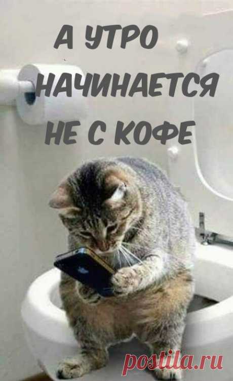Картинки с надписями "Доброе утро" (1838 шт.)