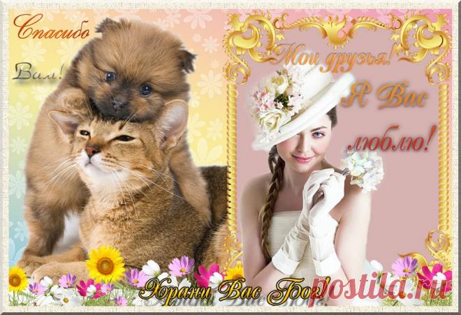 Плейкаст «Спасибо, мои друзья!!!»