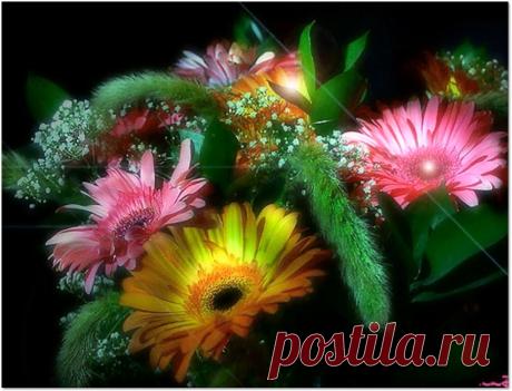 Мой Мир@Mail.Ru