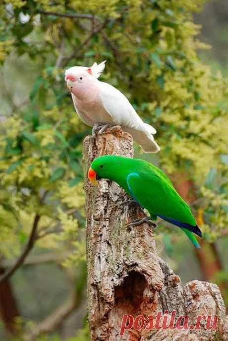 Фото – Google+