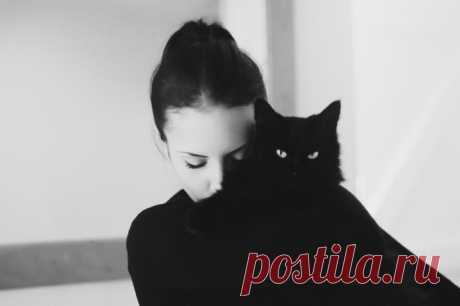 30 удивительных фотографий милых кошек и их очаровательных хозяек