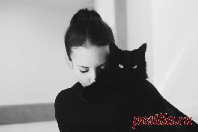30 удивительных фотографий милых кошек и их очаровательных хозяек