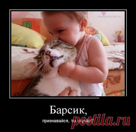 ПОДБОРКА ПРИКОЛЬНЫХ ДЕМОТИВАТОРОВ