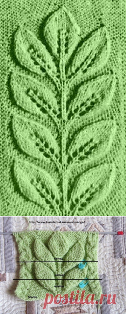 (53) Одноклассники