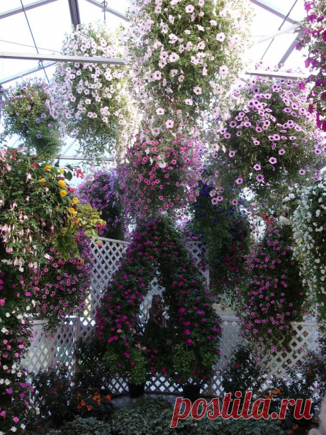 Ботанический сад Glacier Gardens, Juneau, Alaska