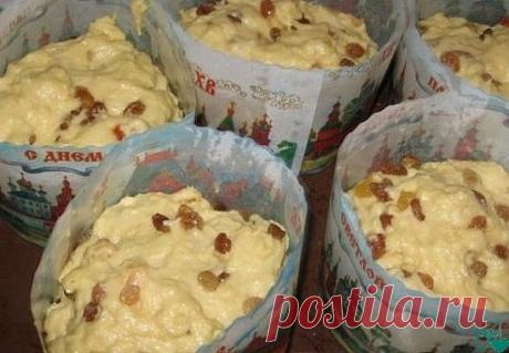 Пасха в этом году выпала на 28 апреля. Сохраните этот изумительный рецепт куличей! 
Александрийское тесто (для куличей) 
Совершенно потрясающие куличи! Сладкие, нежные, мягкие... Вкуснее я не ела в жизни! 
Рецепт бабушкин, готовит она по этому рецепту уже несколько десятков лет. 
С порции получается очень много куличей, смело делите количество на 2, 3, 4... 
1 л. топленого молока; 
1 кг. сахара; 
500 гр. слив. масла; 
10 яиц; 
3 желтка; 
150 гр. свежих дрожжей.
Яйца слегка взбить, мас