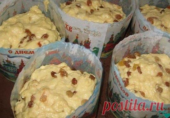 Пасха в этом году выпала на 28 апреля. Сохраните этот изумительный рецепт куличей! 
Александрийское тесто (для куличей) 
Совершенно потрясающие куличи! Сладкие, нежные, мягкие... Вкуснее я не ела в жизни! 
Рецепт бабушкин, готовит она по этому рецепту уже несколько десятков лет. 
С порции получается очень много куличей, смело делите количество на 2, 3, 4... 
1 л. топленого молока; 
1 кг. сахара; 
500 гр. слив. масла; 
10 яиц; 
3 желтка; 
150 гр. свежих дрожжей.
Яйца слегка взбить, мас