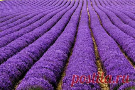 Мой Мир@Mail.Ru