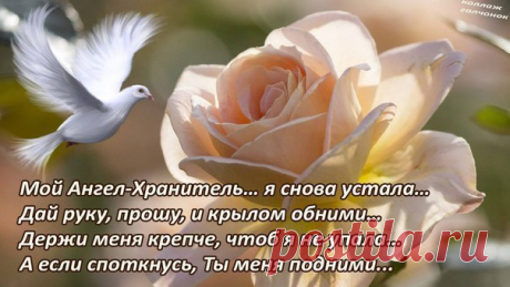 ангел мой будь со мной ты впереди я за тобой: 8 тыс изображений найдено в Яндекс.Картинках