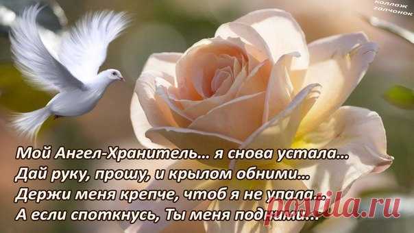 ангел мой будь со мной ты впереди я за тобой: 8 тыс изображений найдено в Яндекс.Картинках