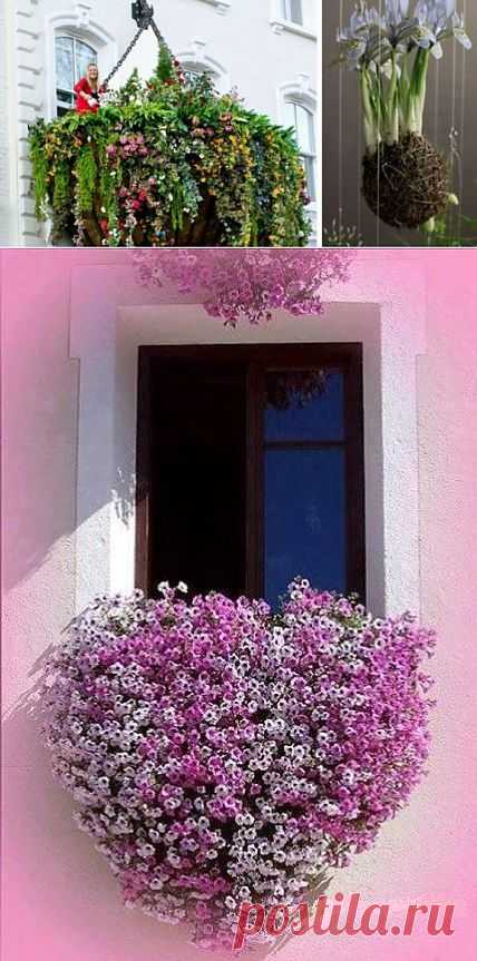 Висячие сады в доме - мечта, которая может стать реальностью | Наш уютный дом