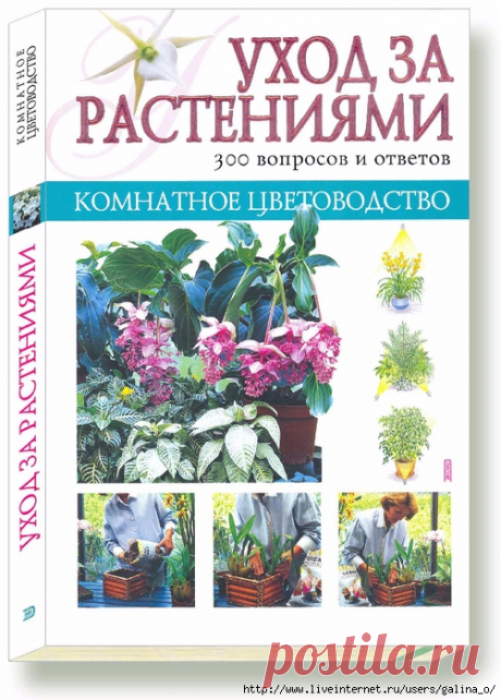 Комнатное цветоводство.Уход за растениями.300 вопросов и ответов .