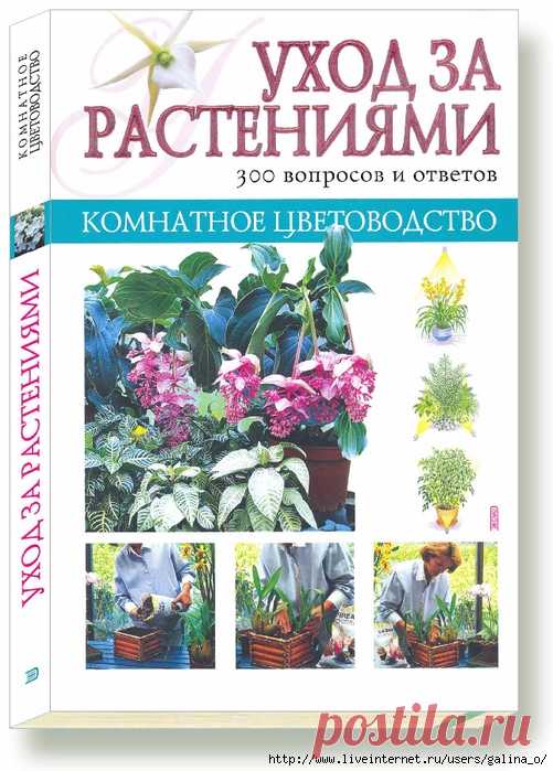 Комнатное цветоводство.Уход за растениями.300 вопросов и ответов .