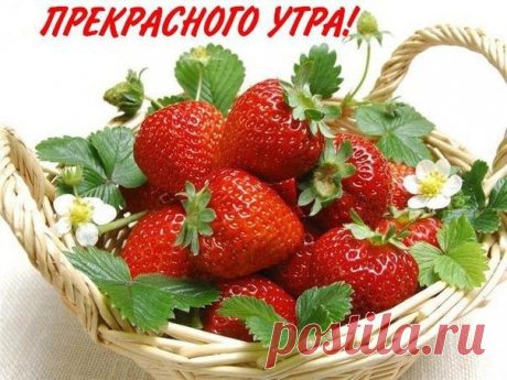 Мой Мир@Mail.Ru