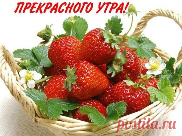 Мой Мир@Mail.Ru