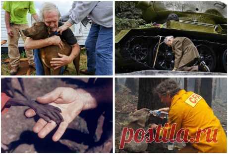 30 самых сильных фотографий, которые заставляют задуматься | Вокруг света | Среда обитания