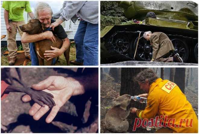 30 самых сильных фотографий, которые заставляют задуматься | Вокруг света | Среда обитания