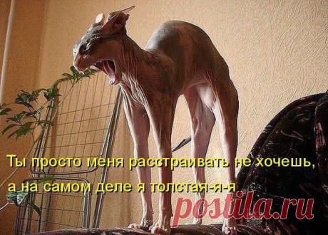 Интересные новости