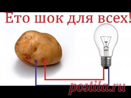 Свет из картошки супер гениально просто разрыв