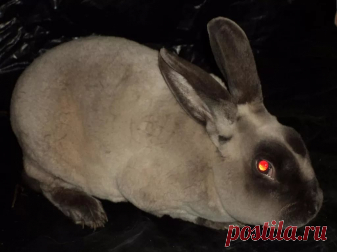 страницы которые создавались константина валерьевича сосницкого краснодар: 10 тыс изображений найдено в Яндекс.Картинках