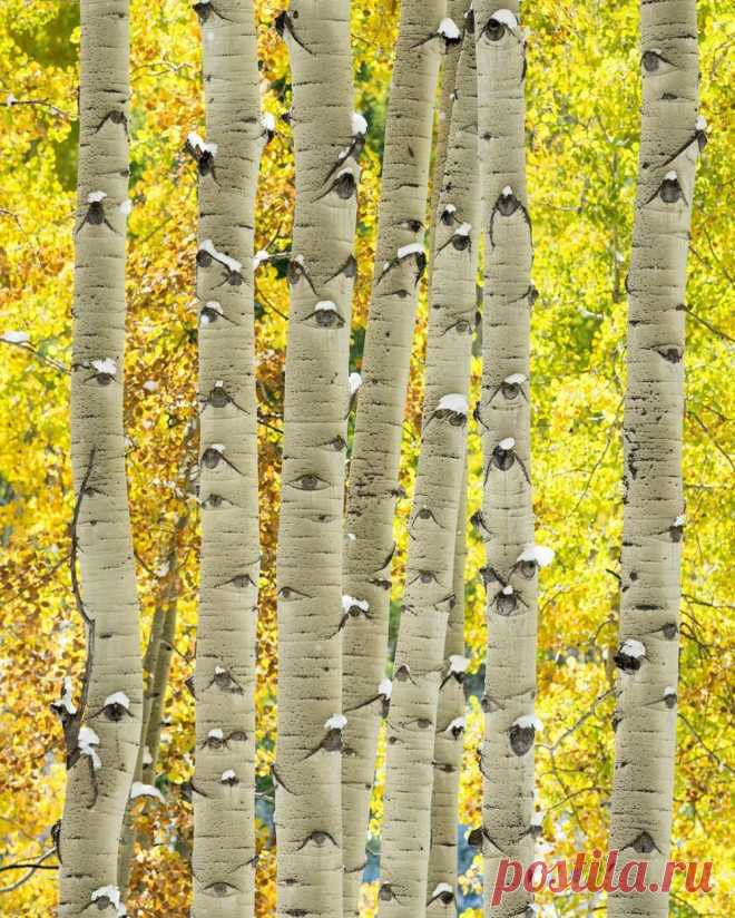 17 шедевров, когда фоторедактором выступает сама природа! 

Программы для редактирования фотографий открывают огромный простор для творчества — нужно лишь дать волю фантазии. Даже новичок сможет нарисовать то, что душа попросит. Но, когда в роли фоторедактор…