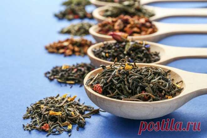 Гид по чаю: от черного до травяного! Какие из них лечат болезни? Расскажу подробно обо всех видах. | Fresh.ru домашние рецепты | Яндекс Дзен
