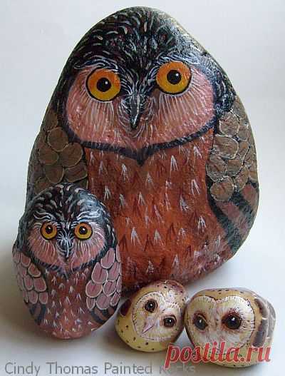 (6) Pinterest