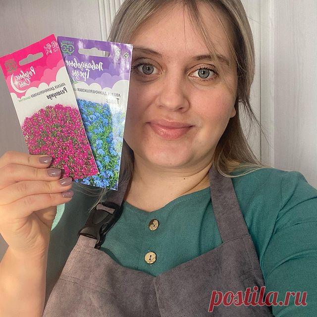 Photo shared by АНЮТА ЦВЕТОВОДСТВО КИРОВ on February 02, 2022 tagging @gavrish_dachnikam.