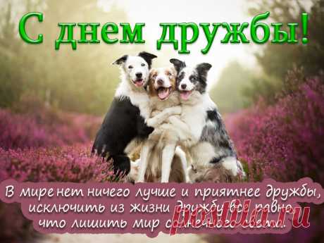 В международный день дружбы хочу поздравить всех тех, кто познал настоящую дружбу!