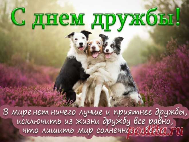 В международный день дружбы хочу поздравить всех тех, кто познал настоящую дружбу!