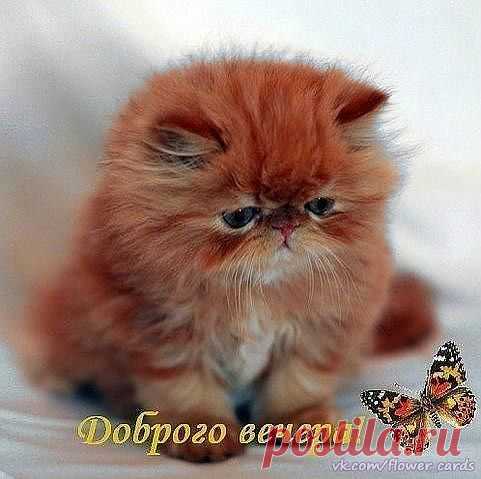 Нежный сайт о любви
Наталья Чистякова(Мельник)
