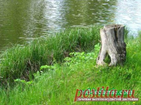 Оздоровительная система Серафима Чичагова.