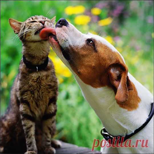Забота ближнего