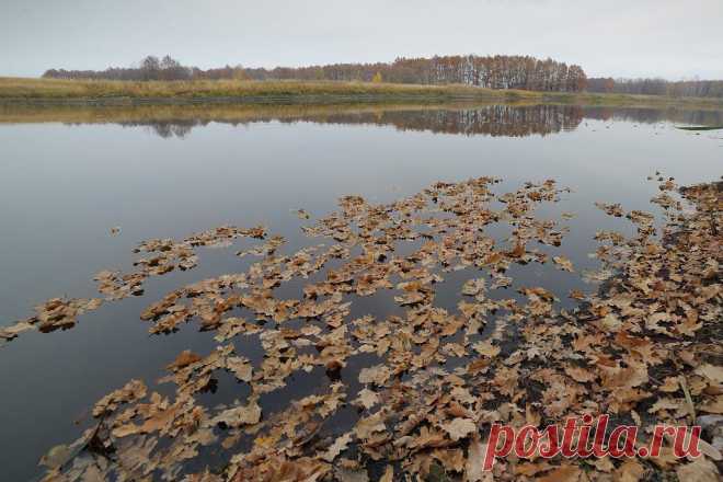 ФОТОМАСТЕРСКАЯ ПРИРОДЫ
Владимир Щеголев