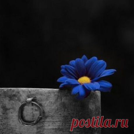 В каждом человеке, в той или иной степени, противодействуют две силы: 
потребность в уединении и жажда общения с людьми...
Владимир Набоков