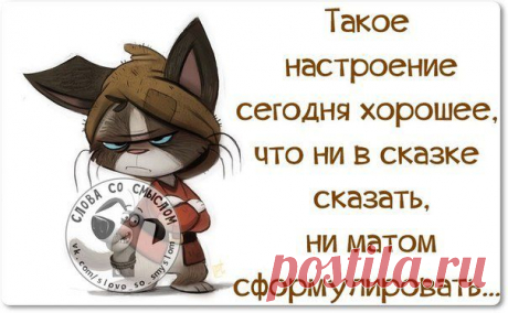 Новости