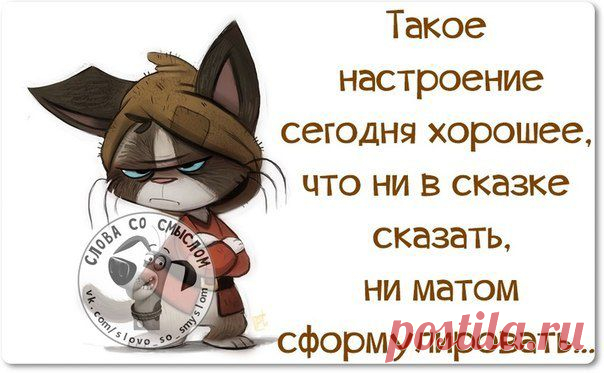 Новости