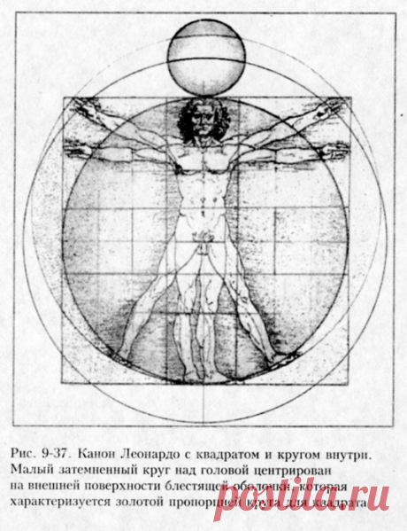 Ячеистая вселенная и… КАНОН ЛЕОНАРДО ДА ВИНЧИ. • Сияние Жизни
