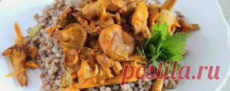 Гречка с грибами – 10 рецептов приготовления с пошаговыми фото
