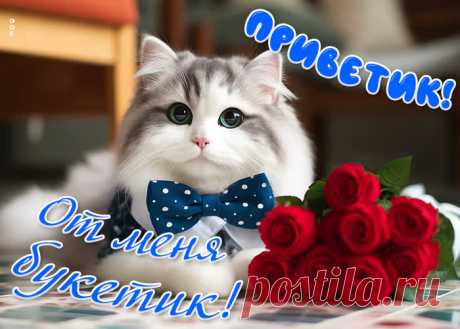Приветик! От меня тебе букетик!