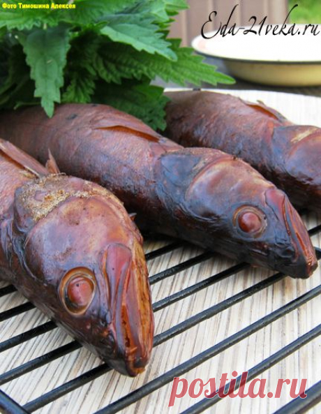 Cудак копченый. Рецепт с пошаговым фото. &amp;laquo;  Еда XXI века. Кулинарный блог Тимошина Алексея.