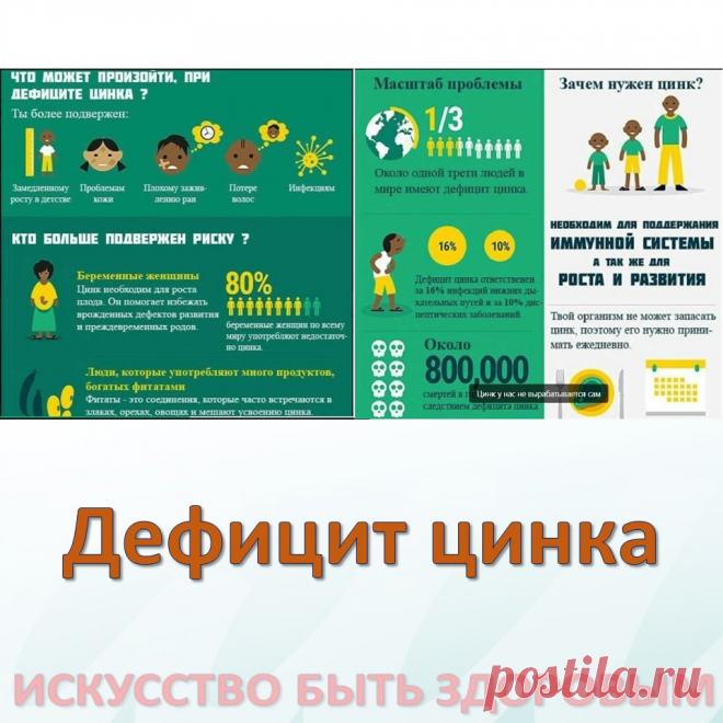 Цинк отвечает за:

- поддержание клеточного метаболизма - то есть участвует в работе абсолютно каждой клетки тела;

- здоровье репродуктивной системы (не зря девушкам и женщинам советуют есть больше цинкосодердаших продуктов при проблемах с циклом и тд);
- иммунную систему, заживлением ран;
- цинк - это мощный антиоксидант;
- участвует в работе ЖКТ;
- борется с диабетом;
- повышает фертильность;
- укрепляет сосуды;
- поддерживает здоровье печени;
- помогает в восстановлении мышц.