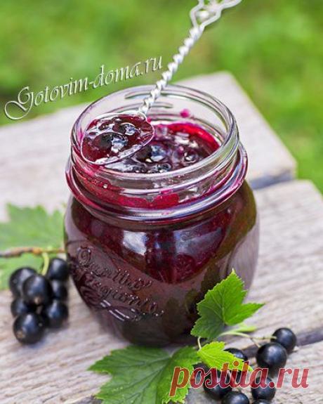 Черная смородина, протертая с сахаром (холодное варенье).