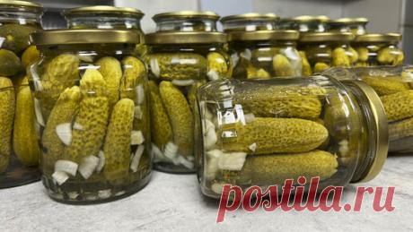 Сейчас Приготовим! | Огурцы для хранения в квартире: заготавливаю по 30-40 банок на зиму (для салатов я лучше не знаю)