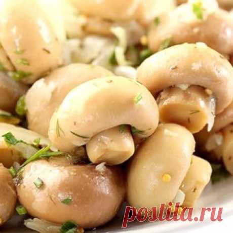 Шампиньоны, консервированные на зиму в банках: фото, рецепты приготовления заготовок в домашних условиях Как приготовить на зиму вкусные домашние заготовки из грибов шампиньонов: рецепты с фотографиями