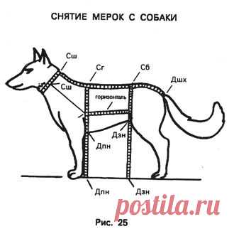 Выкройка. переноска для животных - Мастер классы - Каталог статей - Мензурка