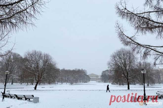 Фото и видео метели в Петербурге - 16 декабря 2024 - ФОНТАНКА.ру